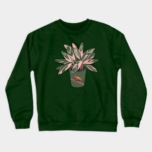 Stromanthe Houseplant Crewneck Sweatshirt